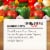 Cocina Fresca Cantina Style Medium Serrano Salsa Perspective: top