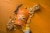Sahale Snacks® Tangerine Vanilla Cashew-Macadamia Glazed Mix Nuts Perspective: top