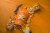 Sahale Snacks® Tangerine Vanilla Cashew-Macadamia Glazed Mix Nuts Perspective: top
