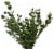 Eucalyptus Assortment Perspective: top