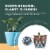 Window Garden Window Shelf & Watering Planter Bundle - Veg Ledge & Aquaphoric Kit Perspective: top