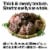 Organic Forest-grown Japanese Dried Shiitake Mushroom Donko 70g Perspective: top