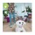 furReal Friends GoGo My Dancin' Pup Toy Perspective: top