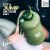 THE GYM KEG Cargo Green Sports Water Bottle | 64oz | Insulated, Ecofriendly & BPA Free Perspective: top