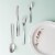 BergHOFF Essentials Sereno Stainless Steel Flatware Set with Wood Drawer Organizer Perspective: top