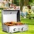 2 Burner Portable BBQ Table Top Propane Gas Grill Stainless Steel Perspective: top