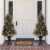 Glitzhome 4 Feet Flocked Christmas Tree With 100 Warm White Light, Pinecone and Berries Perspective: top