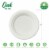 Glitzhome Oak™ PLUS 6-Inch Compostable White Sugarcane Plates Perspective: top