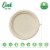 Glitzhome Oak™ PLUS 9-Inch Compostable Natural Sugarcane Plates Perspective: top