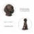 Glitzhome Sitting Dog Decorative Garden Statue Perspective: top