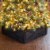 Glitzhome 22 Inch Length X 22 W Washed Black Wooden Tree Collar Perspective: top