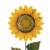 Glitzhome 36 Inch H Metal Inch Welcome to the Garden Inch Sunflower Yardstake Perspective: top