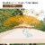 Hivvago 10 x 10 Feet 2-Tier Vented Metal Canopy with Mosquito Netting Perspective: top