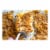Spice Supreme Chopped Onion Seasoning 1.75 Oz Jar Cooking Dry Rob Meats Veggies Perspective: top