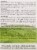 Organyc Regular Bio Based Compact Tampons Perspective: top