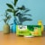 Salada Family Size Pure Green Tea for Iced Tea 24ct - 12 pack Perspective: top