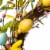 Glitzhome 22 D Easter Egg Wreath Hanging Decor Perspective: top