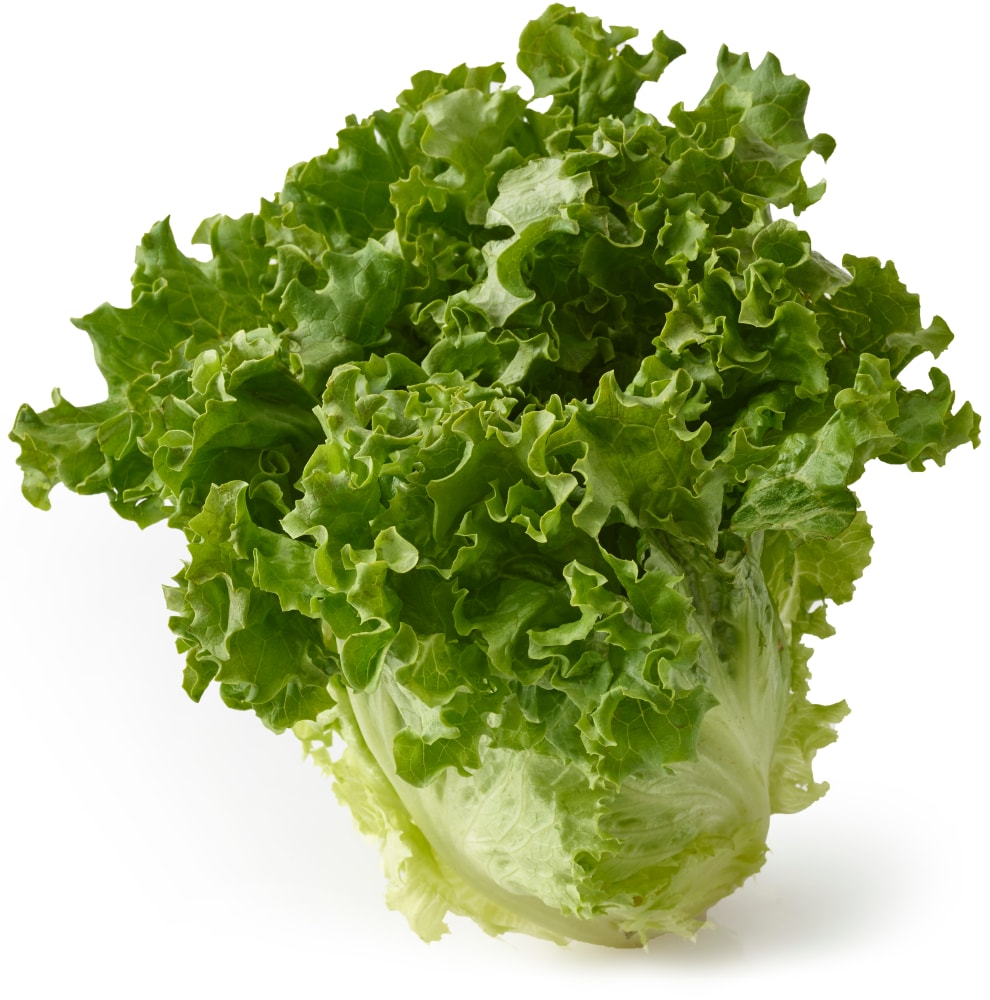 Lettuce Green Leaf 1 Ct Kroger