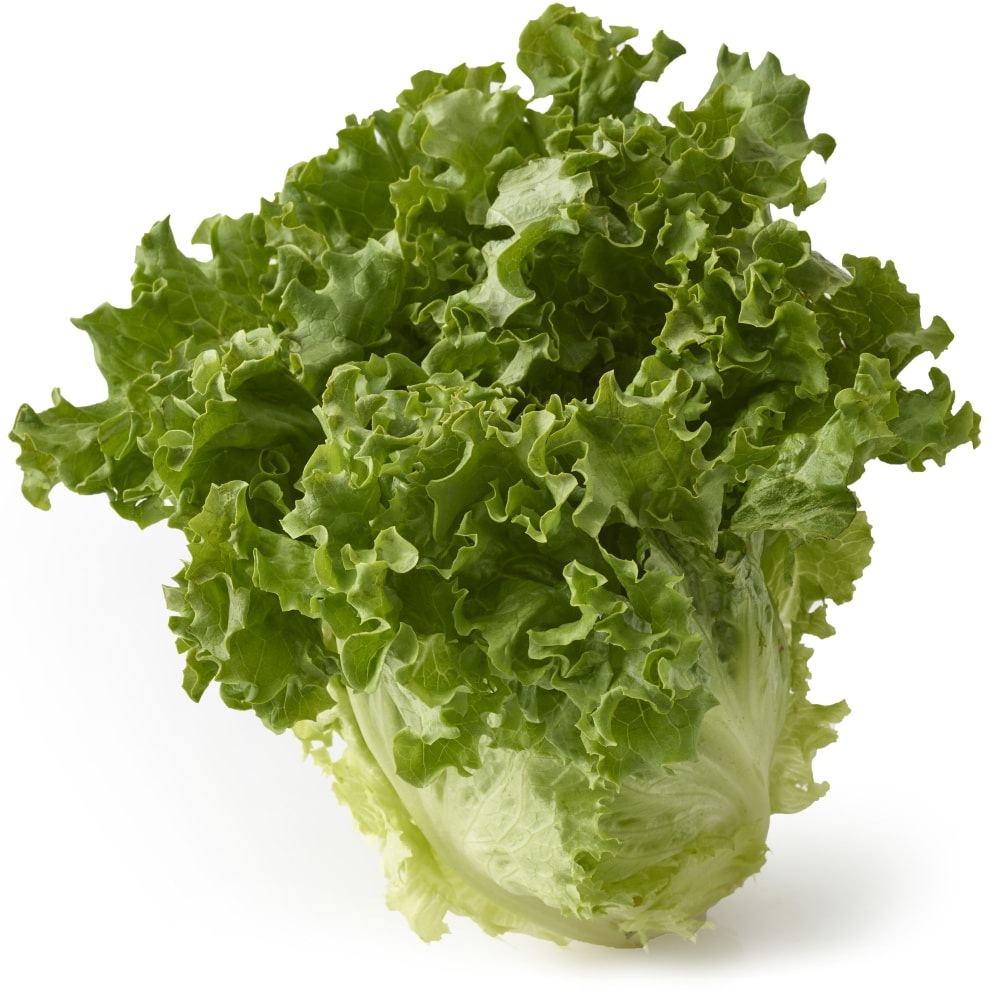 Kroger Organic Leaf Lettuce Green 1 Ct