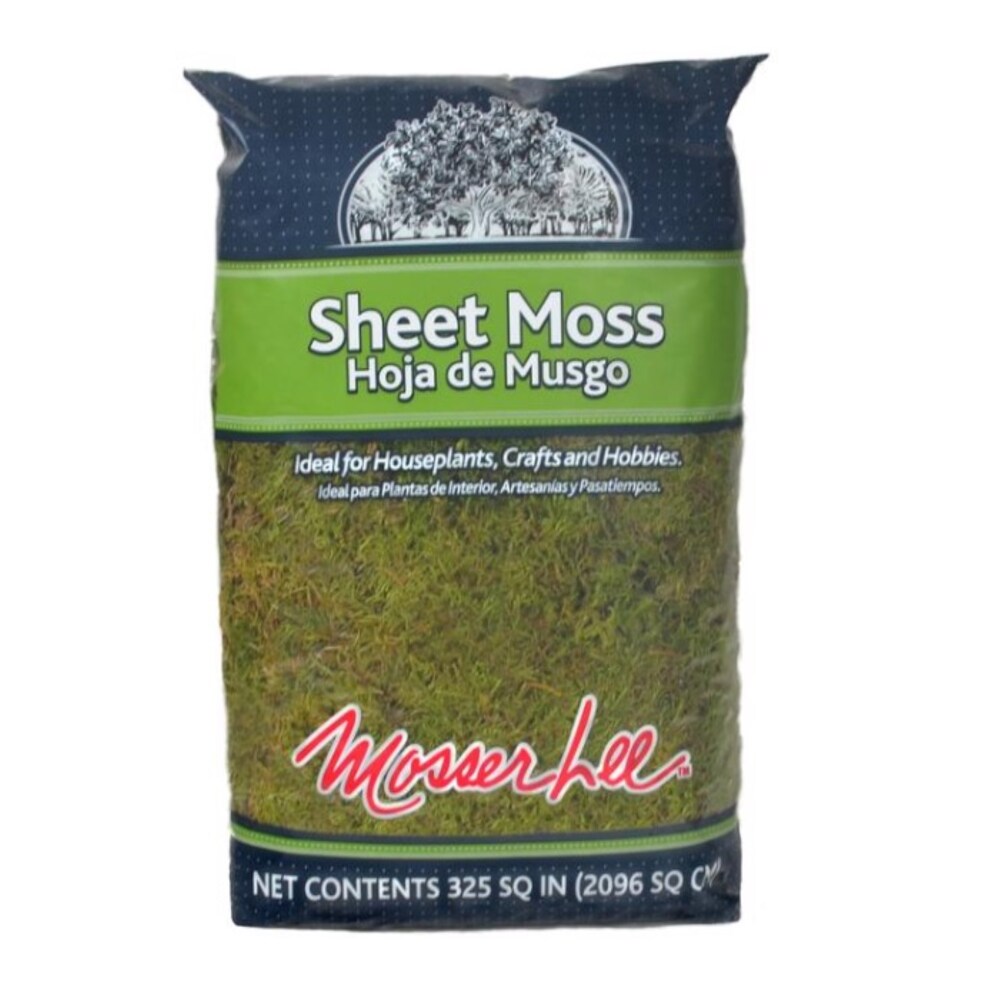 Mosser Lee Organic Green Sheet Moss 325 sq in