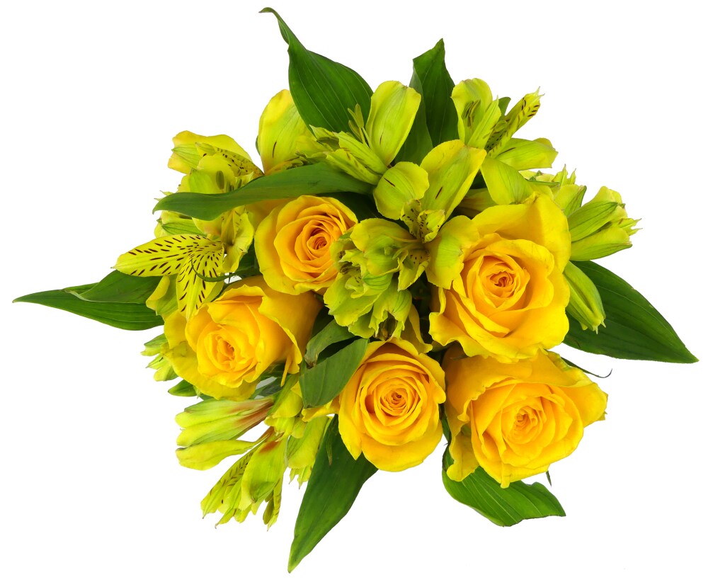 Bloom Haus Splendid Yellow Rose Bouquet 8 Stem Fry S Food Stores