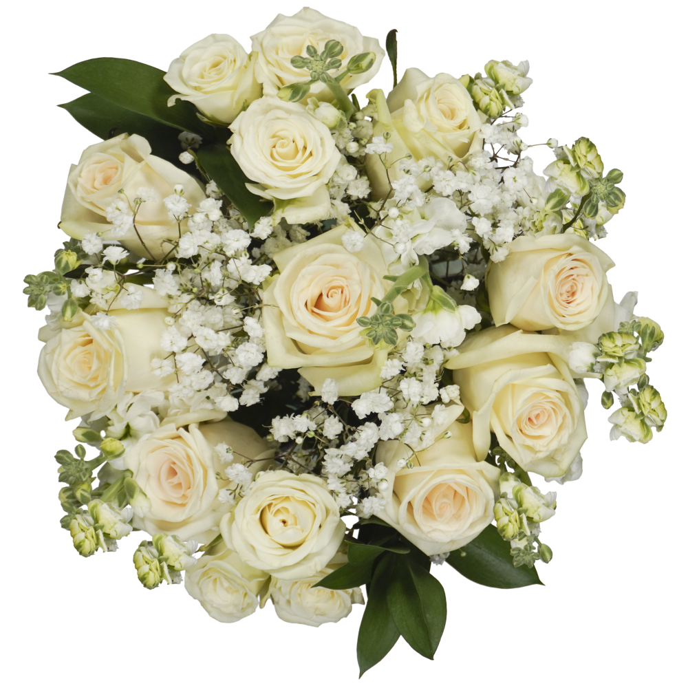 Bloom Haus Classic Rose Bouquet - White, 15-stem