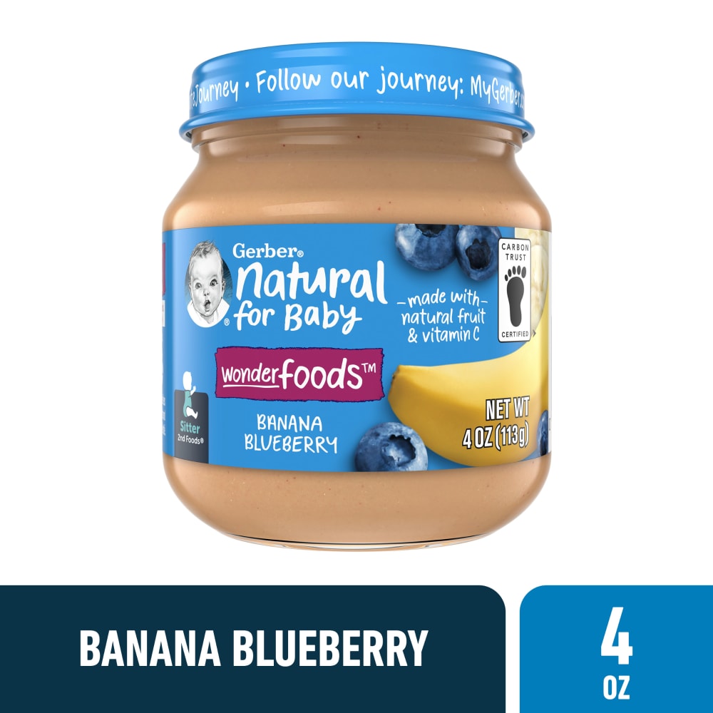 blueberry baby food
