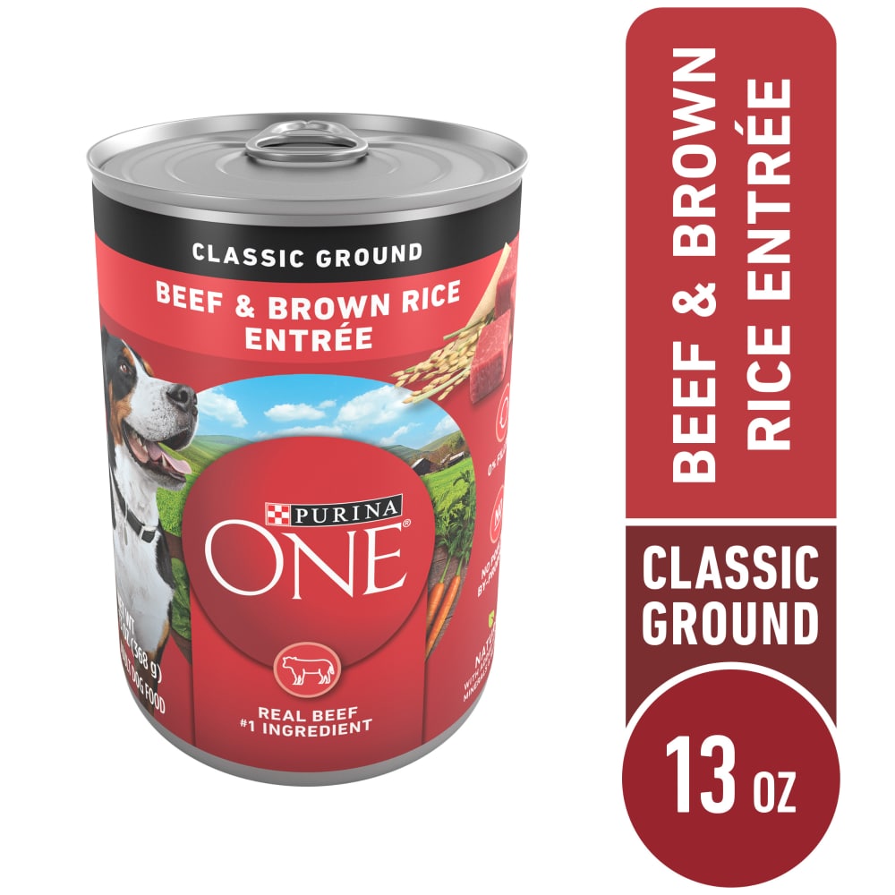 purina one beef and rice