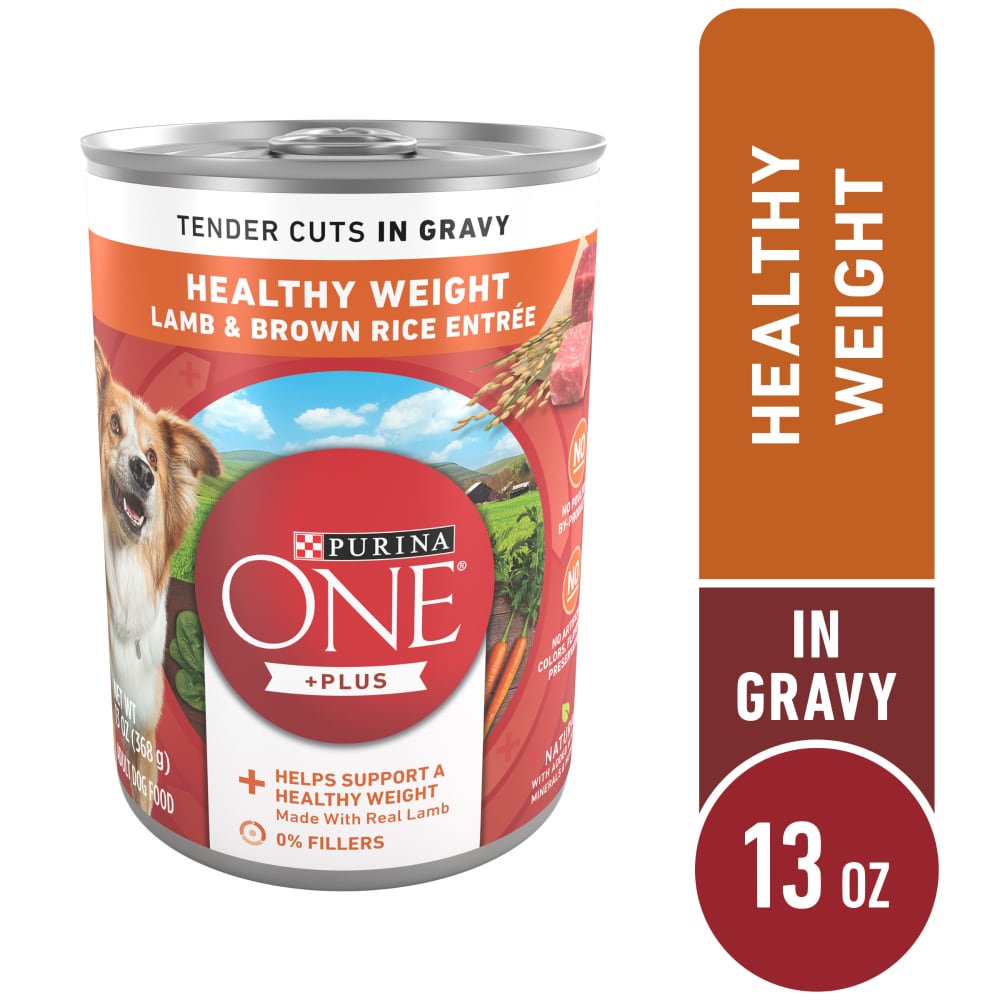 purina one lamb and rice coupon