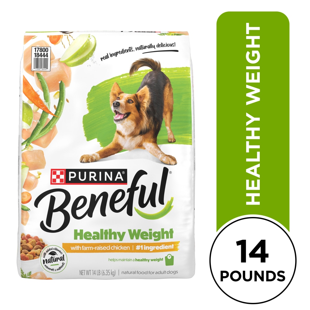 beneful salmon dog food reviews