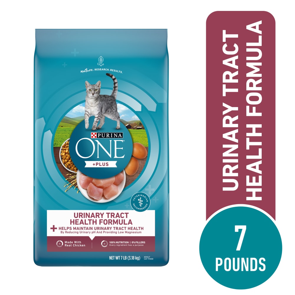 purina one dry cat food