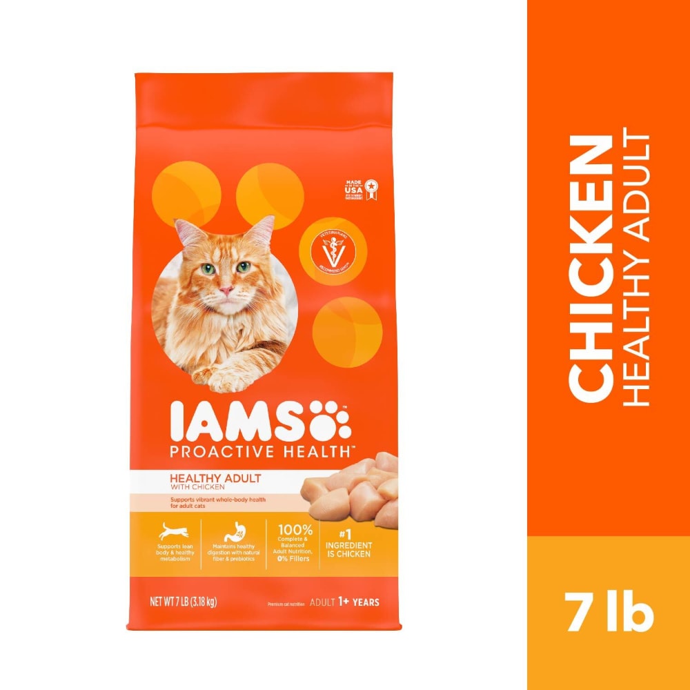 best kitten iams proactive health dry kitten food