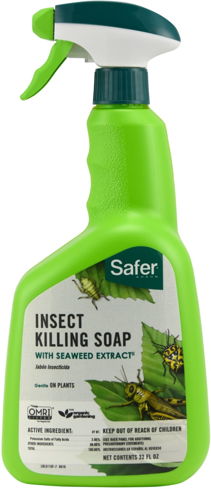 Ecologic 32 Oz Ready To Spray Lawn Insect Killer Hg 75025 The Home Depot
