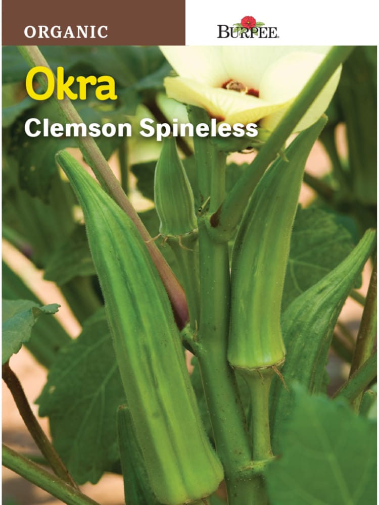 Pick N Save Burpee Clemson Spineless Organic Okra Seeds Green 1 Count