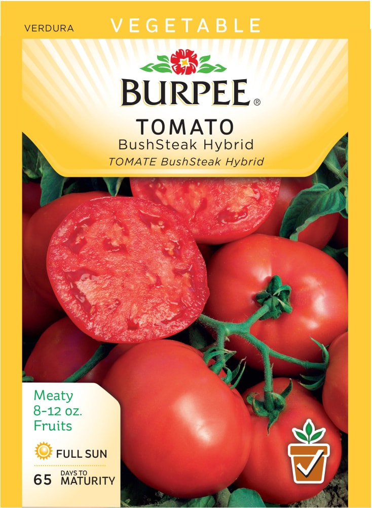 Sweet Tangerine Hybrid Tomato Seeds and Plants, Vegetable