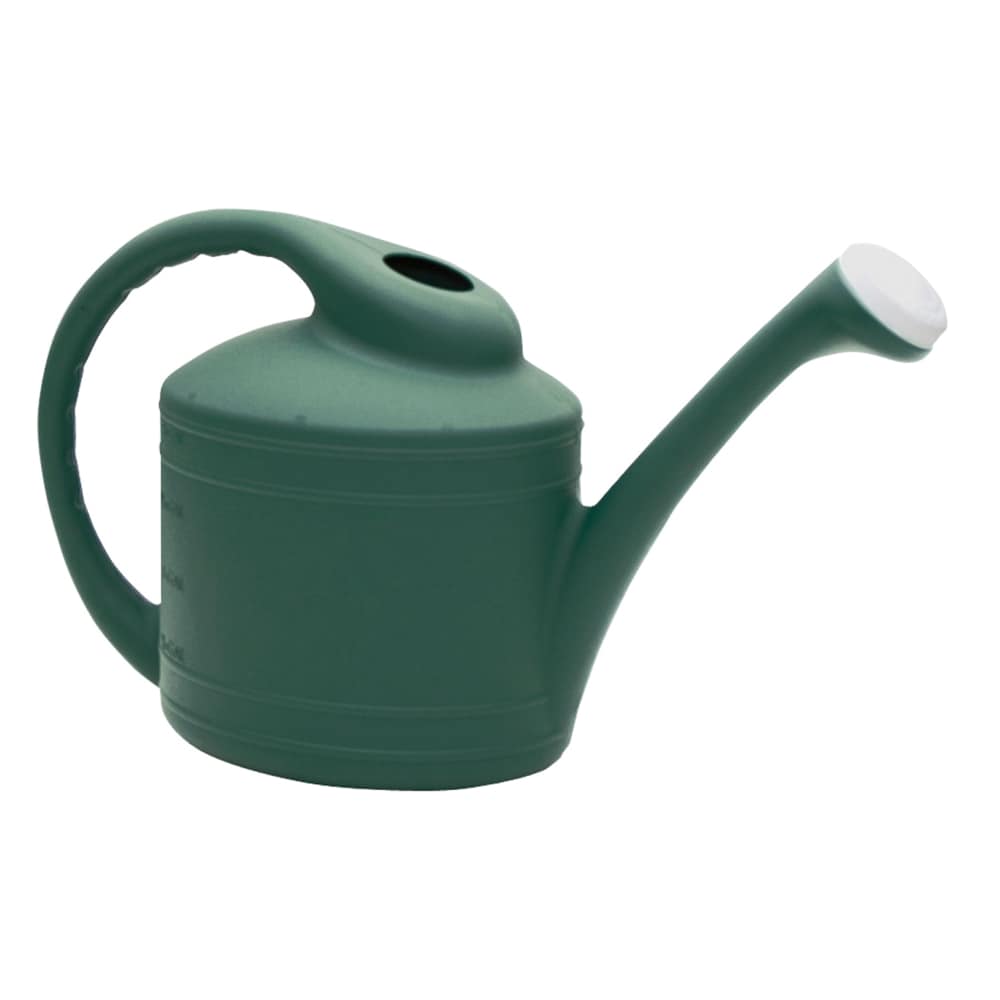 Neighborhood Srl / P-watering Can Black - Caliroots.com