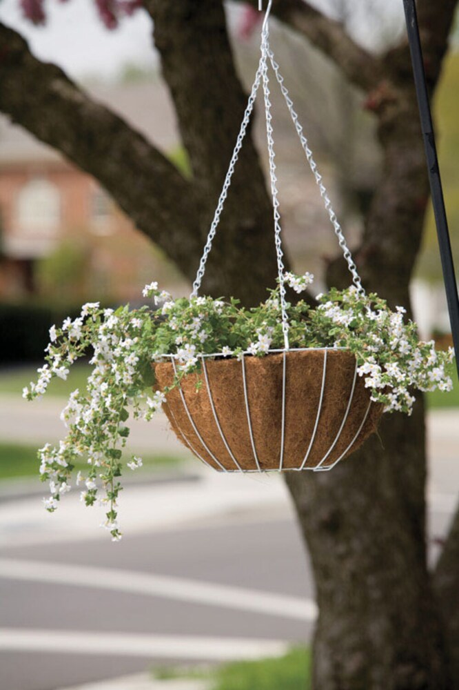 Panacea Steel Hanging Basket White Panacea Steel Hanging Basket White