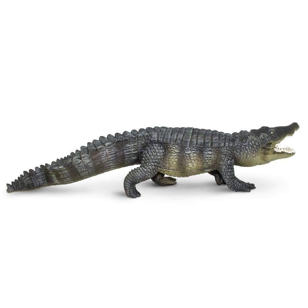 safari ltd crocodile