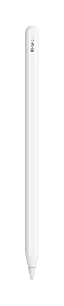 Apple Pencil 2, 1 ct - Fred Meyer Apple Pencil 2, 1 ct - Fred Meyer