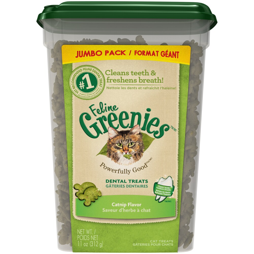 greenies feline catnip flavor dental cat treats