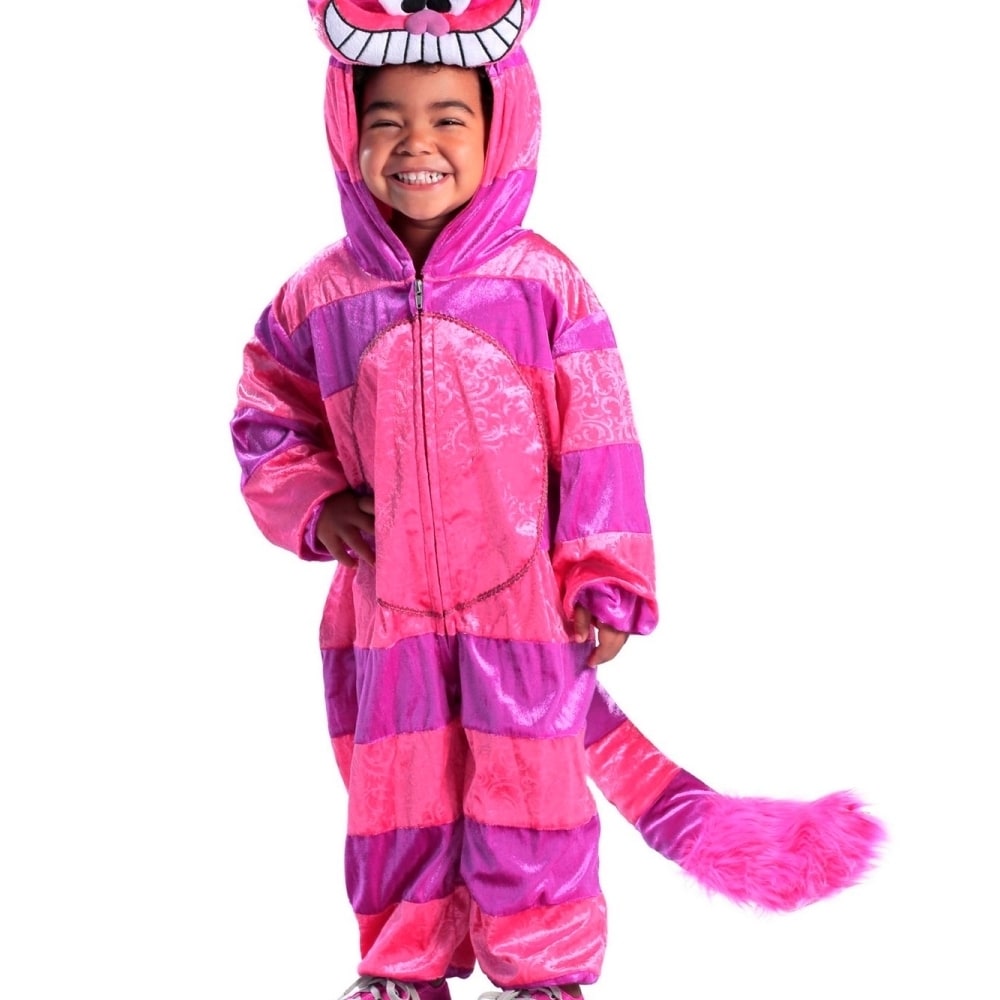 baby boy cat costume