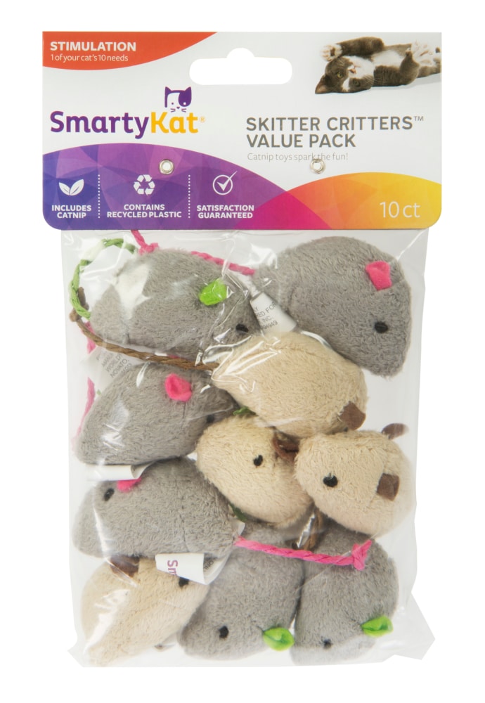 smartykat racin rascal