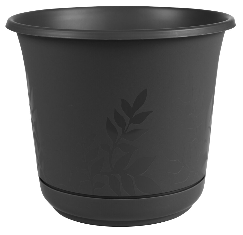 Bloem Freesia Planter w/Saucer 6 Bloem Freesia Planter w/Saucer 6
