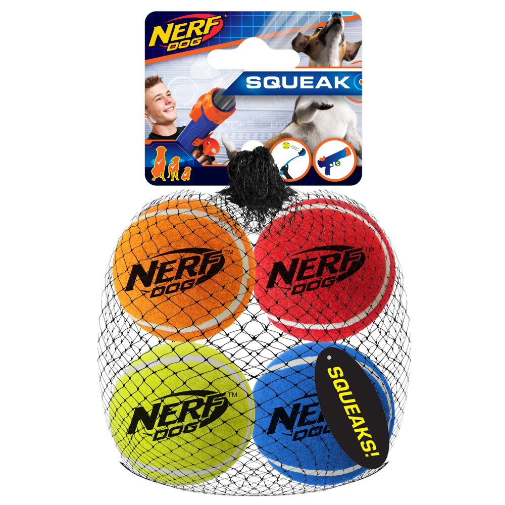 nerf rugby ball dog