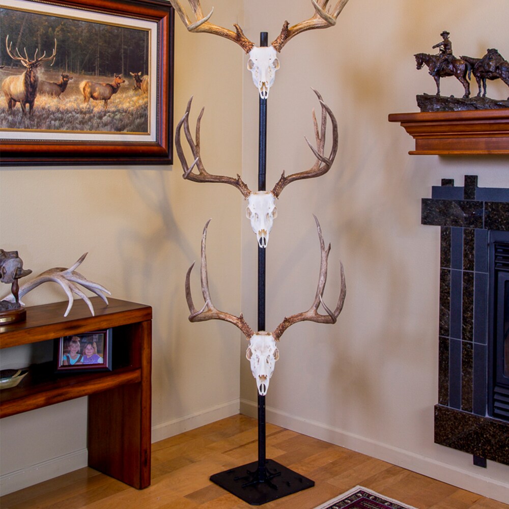 Ebros Gift Rustic Hunter Deer 10 Point Buck Skull Trophy Antlers Wall  Mounted Plaque Trophy Decor Figurine 14.25