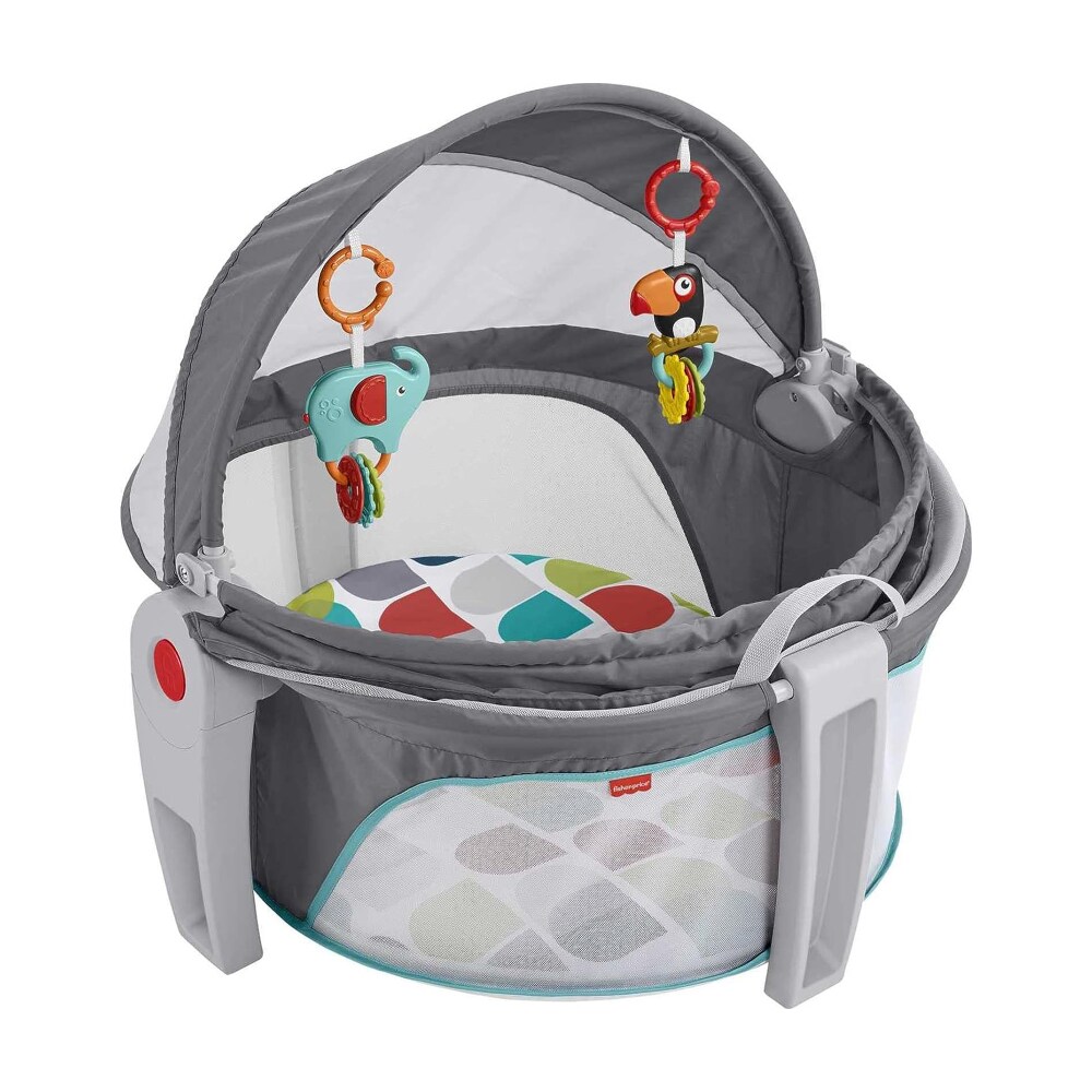 bassinet to go