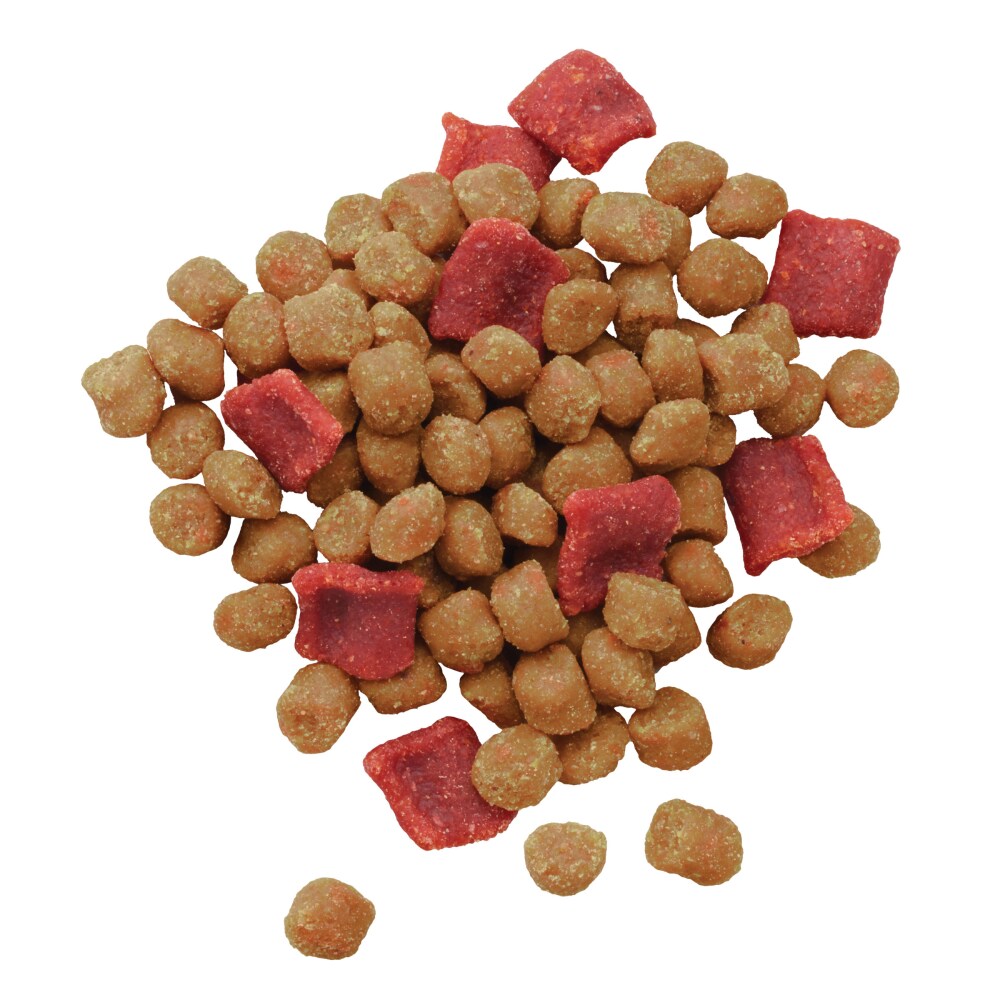 moist meaty dog food