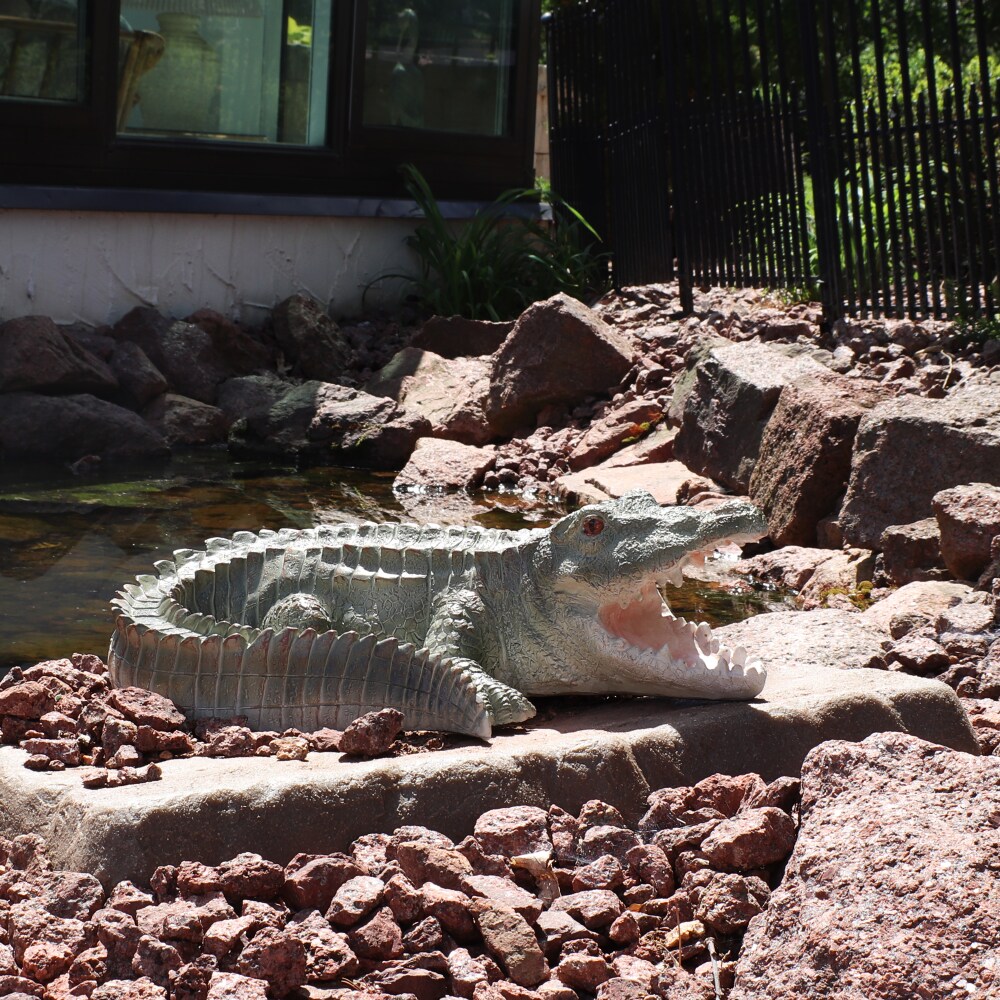 Chloe nile croc shop
