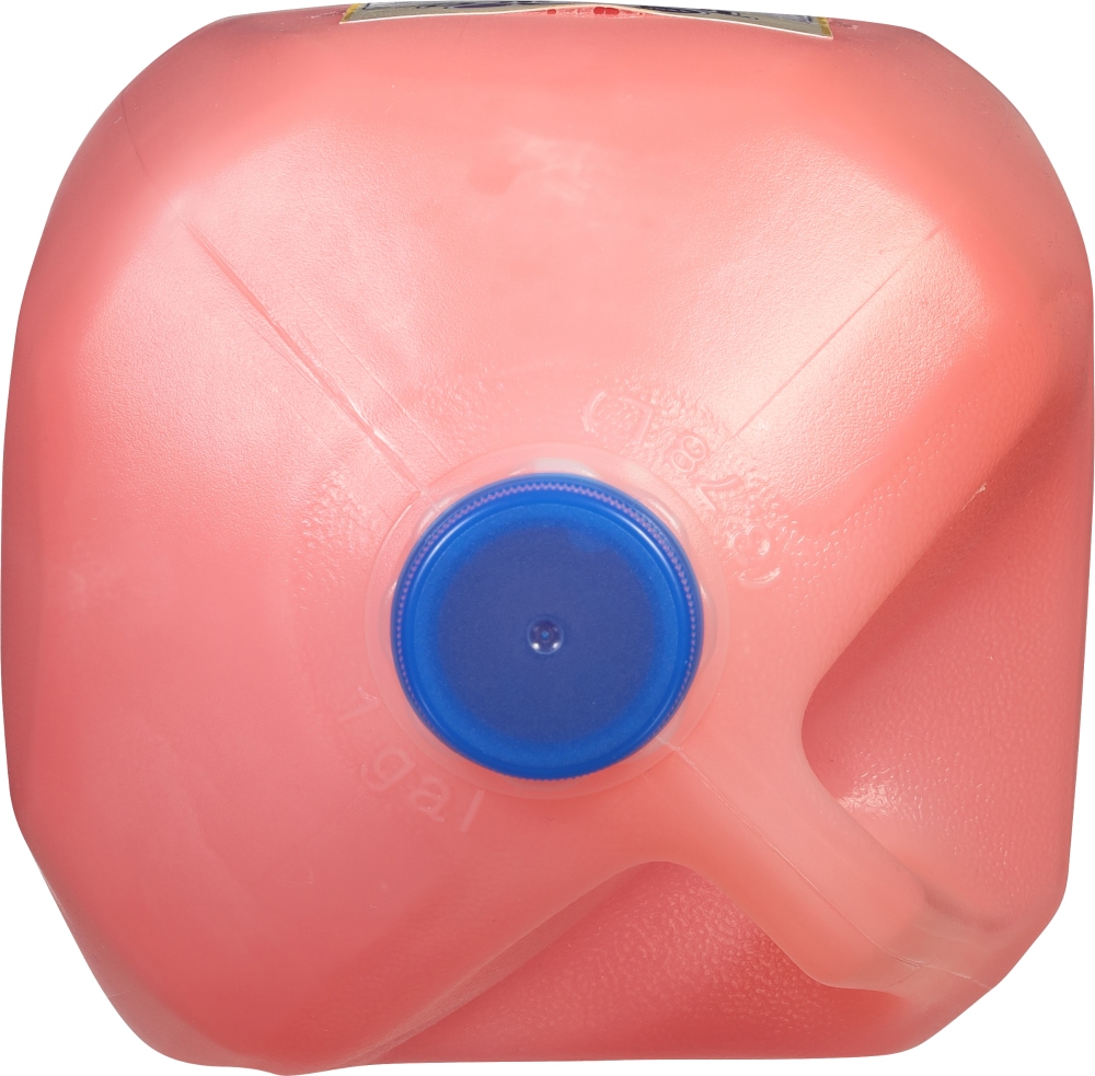 Minute Maid Berry Punch Gallon
